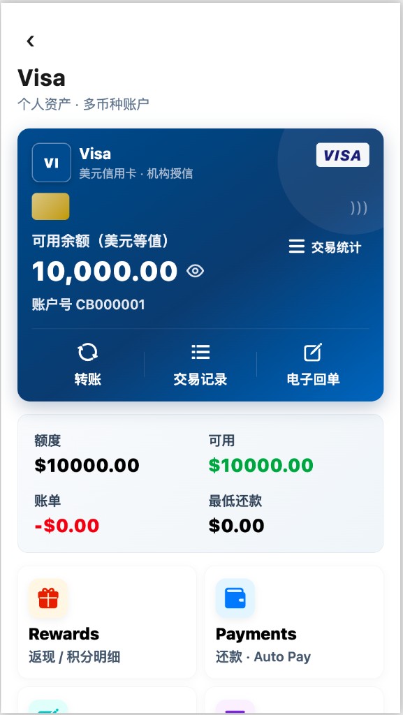 VISA 账户管理界面